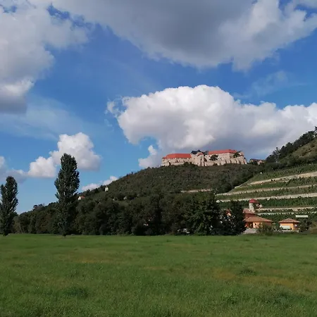 Grosse Reblaus - Wohnen Im Weinberg In Der Toskana Des Nordens Freyburg
