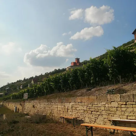 Grosse Reblaus - Wohnen Im Weinberg In Der Toskana Des Nordens *
