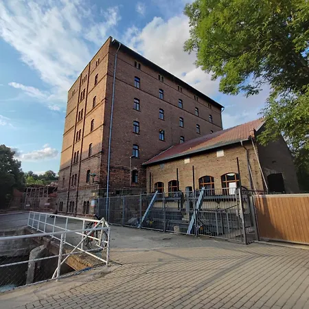 Grosse Reblaus - Wohnen Im Weinberg In Der Toskana Des Nordens