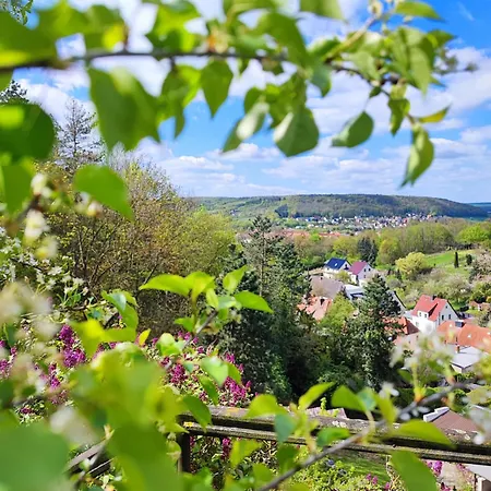 Grosse Reblaus - Wohnen Im Weinberg In Der Toskana Des Nordens Freyburg