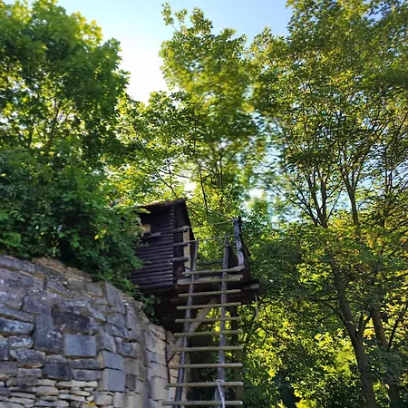 Grosse Reblaus - Wohnen Im Weinberg In Der Toskana Des Nordens * Freyburg