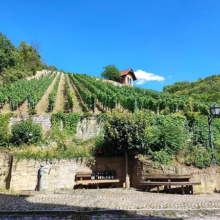 Grosse Reblaus - Wohnen Im Weinberg In Der Toskana Des Nordens Holiday home Freyburg