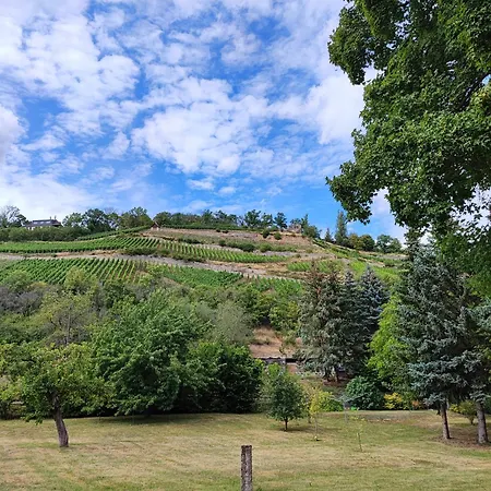 Grosse Reblaus - Wohnen Im Weinberg In Der Toskana Des Nordens Dom wakacyjny