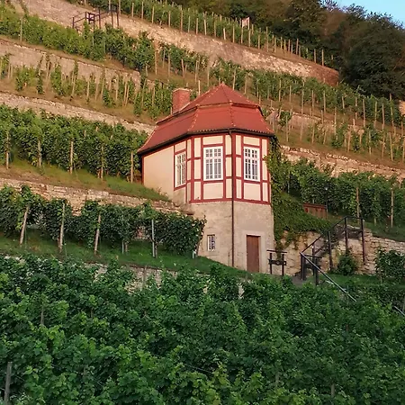 Grosse Reblaus - Wohnen Im Weinberg In Der Toskana Des Nordens Holiday home *