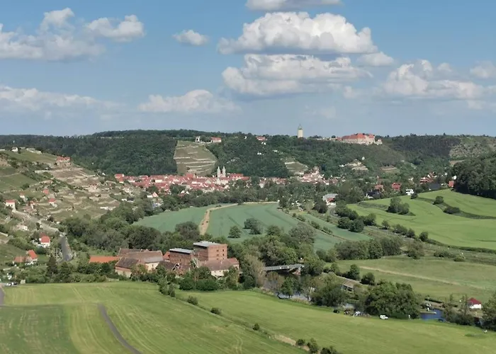 Grosse Reblaus - Wohnen Im Weinberg In Der Toskana Des Nordens * Freyburg