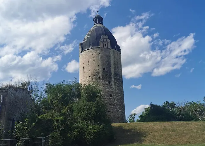 Grosse Reblaus - Wohnen Im Weinberg In Der Toskana Des Nordens *