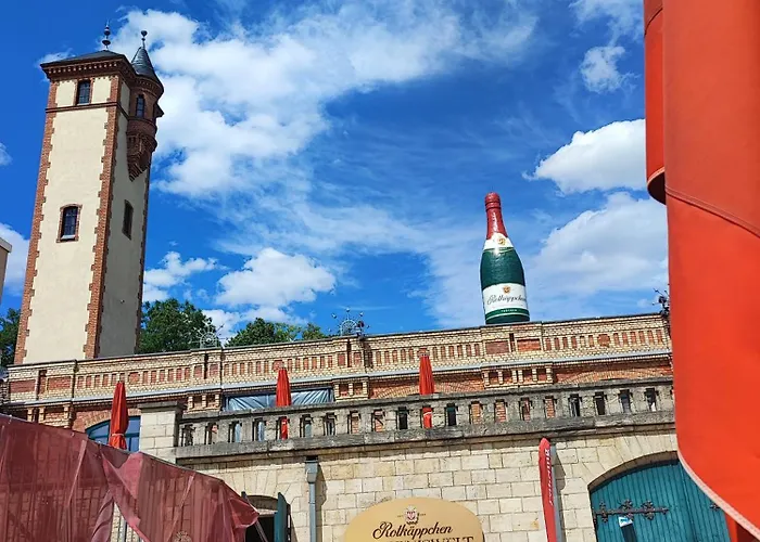 Grosse Reblaus - Wohnen Im Weinberg In Der Toskana Des Nordens
