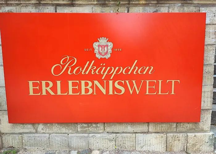 Grosse Reblaus - Wohnen Im Weinberg In Der Toskana Des Nordens Tatil Evi