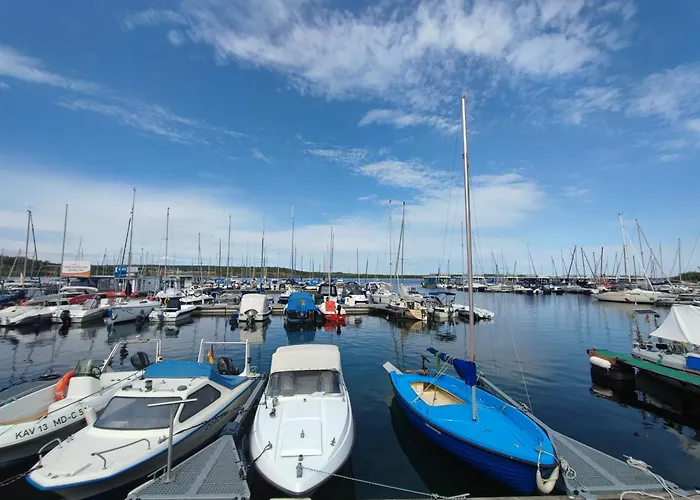 Grosse Reblaus - Wohnen Im Weinberg In Der Toskana Des Nordens Freyburg