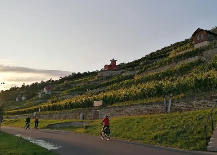 Grosse Reblaus - Wohnen Im Weinberg In Der Toskana Des Nordens Tatil Evi Freyburg