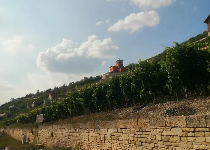 Grosse Reblaus - Wohnen Im Weinberg In Der Toskana Des Nordens *