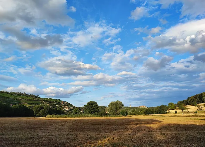 Grosse Reblaus - Wohnen Im Weinberg In Der Toskana Des Nordens Tatil Evi Freyburg