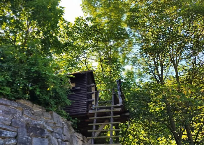 Grosse Reblaus - Wohnen Im Weinberg In Der Toskana Des Nordens * Freyburg