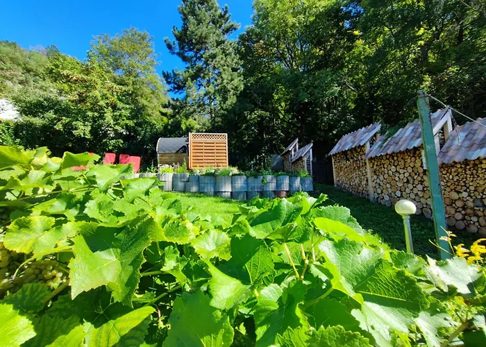 Tatil Evi Grosse Reblaus - Wohnen Im Weinberg In Der Toskana Des Nordens *