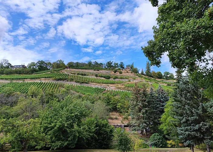 Grosse Reblaus - Wohnen Im Weinberg In Der Toskana Des Nordens Tatil Evi