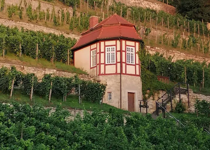 Grosse Reblaus - Wohnen Im Weinberg In Der Toskana Des Nordens Tatil Evi *