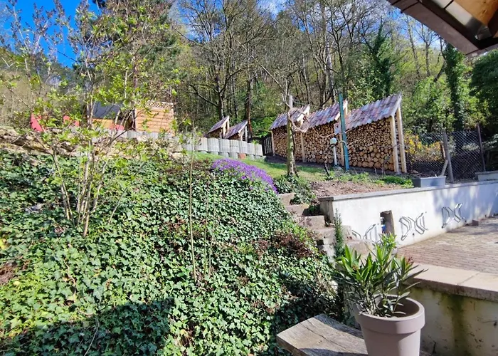 Grosse Reblaus - Wohnen Im Weinberg In Der Toskana Des Nordens *